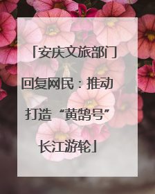 安庆文旅部门回复网民：推动打造“黄鹄号”长江游轮
