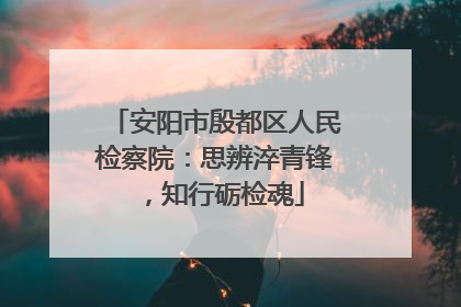 安阳市殷都区人民检察院：思辨淬青锋，知行砺检魂