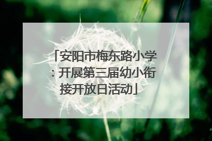 安阳市梅东路小学：开展第三届幼小衔接开放日活动