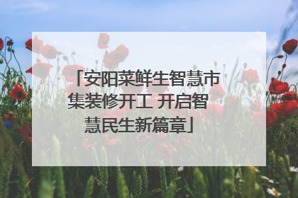安阳菜鲜生智慧市集装修开工 开启智慧民生新篇章