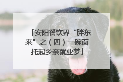 安阳餐饮界“胖东来”之（四）一碗面托起乡亲就业梦