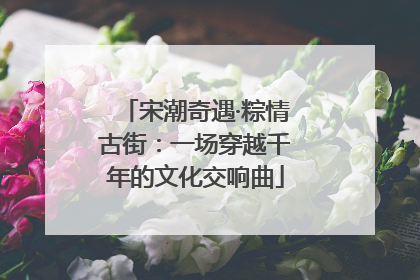 宋潮奇遇·粽情古街：一场穿越千年的文化交响曲