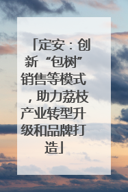 定安：创新“包树”销售等模式，助力荔枝产业转型升级和品牌打造