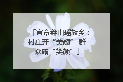 宜章莽山瑶族乡：村庄开“美颜” 群众露“笑颜”