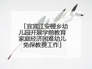 宜宾江安橙乡幼儿园开展学前教育家庭经济困难幼儿免保教费工作
