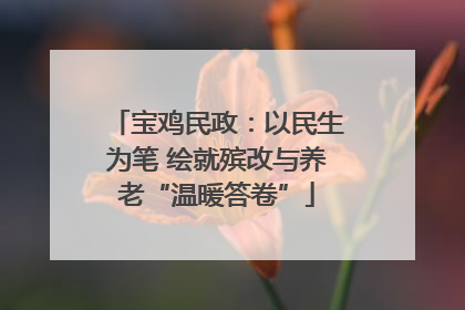 宝鸡民政：以民生为笔 绘就殡改与养老“温暖答卷”