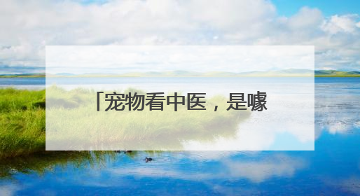 宠物看中医，是噱头？还是新赛道？