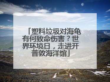 塑料垃圾对海龟有何致命伤害？世界环境日，走进开普敦海洋馆