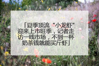 夏季顶流“小龙虾”迎来上市旺季，记者走访一线市场，不到一杯奶茶钱就能买斤虾