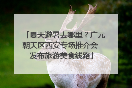 夏天避暑去哪里？广元朝天区西安专场推介会 发布旅游美食线路