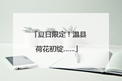 夏日限定！温县荷花初绽……