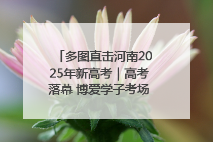 多图直击河南2025年新高考｜高考落幕 博爱学子考场外收获暖心祝福