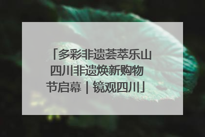 多彩非遗荟萃乐山 四川非遗焕新购物节启幕｜镜观四川