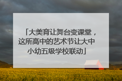大美育让舞台变课堂，这所高中的艺术节让大中小幼五级学校联动