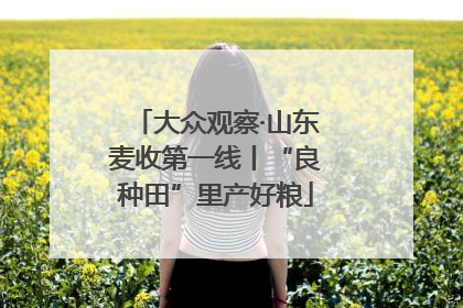 大众观察·山东麦收第一线丨“良种田”里产好粮