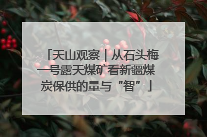 天山观察｜从石头梅一号露天煤矿看新疆煤炭保供的量与“智”