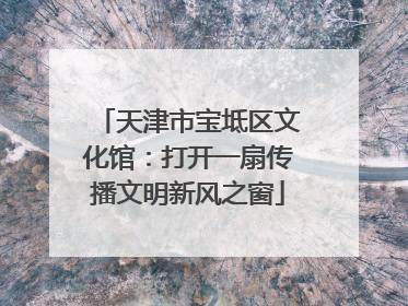 天津市宝坻区文化馆：打开一扇传播文明新风之窗