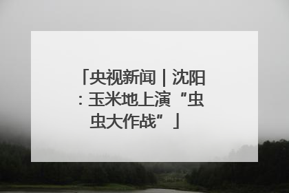央视新闻｜沈阳：玉米地上演“虫虫大作战”