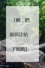 她，把新房让给了斑鸠