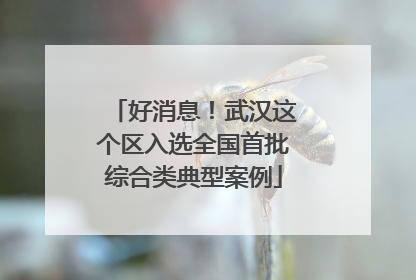 好消息！武汉这个区入选全国首批综合类典型案例