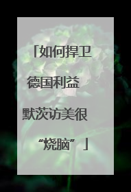 如何捍卫德国利益 默茨访美很“烧脑”
