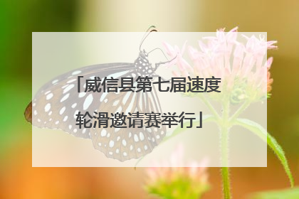 威信县第七届速度轮滑邀请赛举行