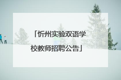 忻州实验双语学校教师招聘公告