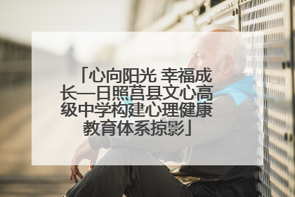 心向阳光 幸福成长—日照莒县文心高级中学构建心理健康教育体系掠影