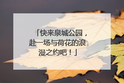 快来泉城公园，赴一场与荷花的浪漫之约吧！