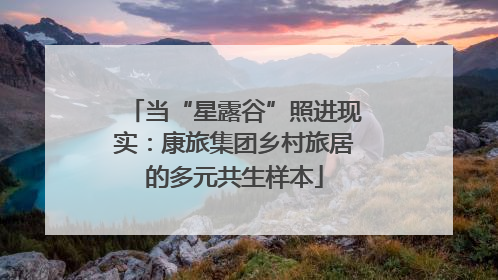 当“星露谷”照进现实：康旅集团乡村旅居的多元共生样本