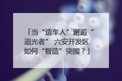 当“造车人”邂逅“追光者” 六安开发区如何“智造”突围？