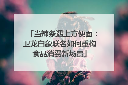 当辣条遇上方便面：卫龙白象联名如何重构食品消费新场景