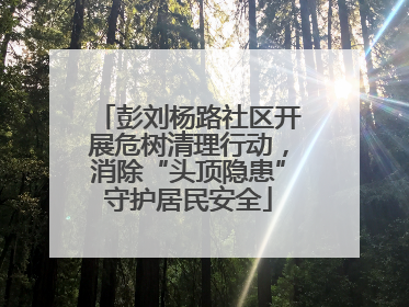 彭刘杨路社区开展危树清理行动，消除“头顶隐患”守护居民安全