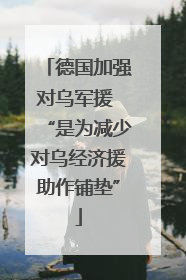 德国加强对乌军援 “是为减少对乌经济援助作铺垫”
