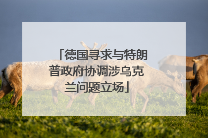 德国寻求与特朗普政府协调涉乌克兰问题立场