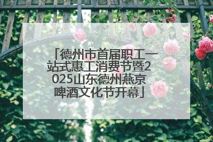 德州市首届职工一站式惠工消费节暨2025山东德州燕京啤酒文化节开幕