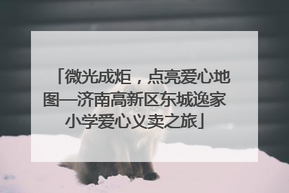 微光成炬，点亮爱心地图—济南高新区东城逸家小学爱心义卖之旅