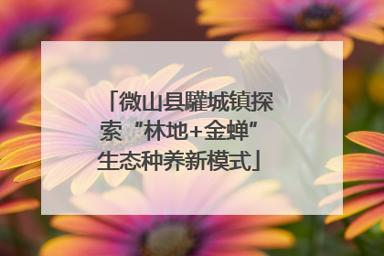 微山县驩城镇探索“林地+金蝉”生态种养新模式