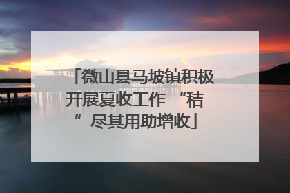 微山县马坡镇积极开展夏收工作 “秸”尽其用助增收