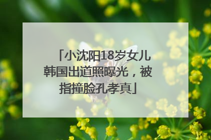 小沈阳18岁女儿韩国出道照曝光，被指撞脸孔孝真