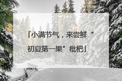 小满节气，来尝鲜“初夏第一果”枇杷