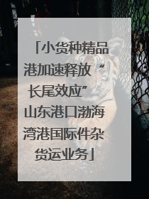小货种精品港加速释放“长尾效应” 山东港口渤海湾港国际件杂货运业务