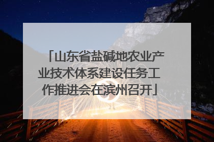 山东省盐碱地农业产业技术体系建设任务工作推进会在滨州召开