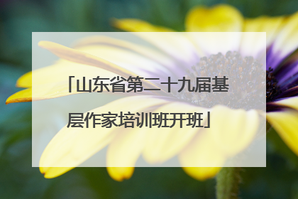 山东省第二十九届基层作家培训班开班