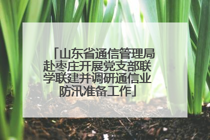 山东省通信管理局赴枣庄开展党支部联学联建并调研通信业防汛准备工作