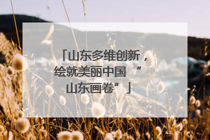 山东多维创新，绘就美丽中国 “山东画卷”