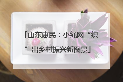 山东惠民：小绳网“织”出乡村振兴新图景