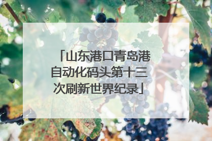 山东港口青岛港自动化码头第十三次刷新世界纪录