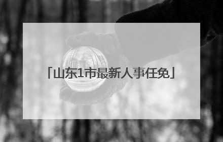山东1市最新人事任免