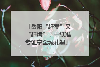 岳阳“赶考”又“赶烤”，一纸准考证享全城礼遇